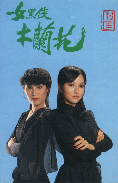 女黑侠木兰花的海报-正式海报