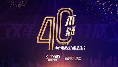 四十不惑的海报-正式海报
