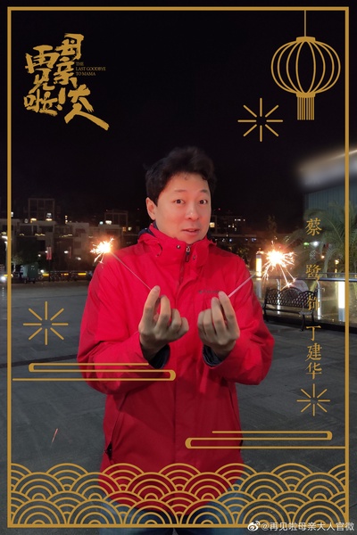 再见啦母亲大人的海报-角色海报