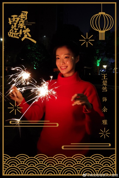 再见啦母亲大人的海报-角色海报