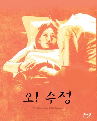 处女心经的海报-其他海报 韩国