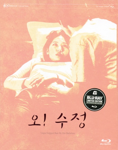 处女心经的海报-其他海报 韩国