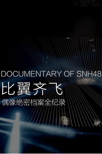 比翼齐飞——偶像绝密档案全纪录的海报-正式海报