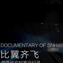 比翼齐飞——偶像绝密档案全纪录