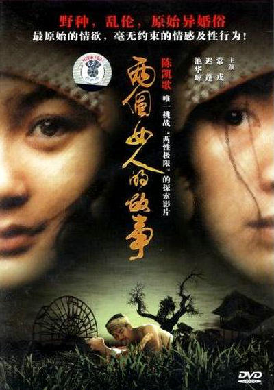 两个女人的故事的海报-正式海报