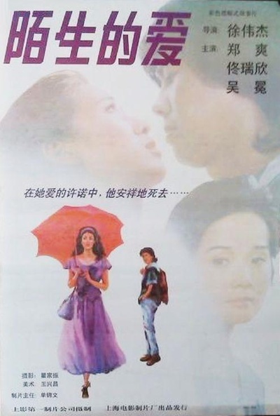 陌生的爱的海报-正式海报