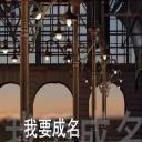 我要成名：网红成长纪事