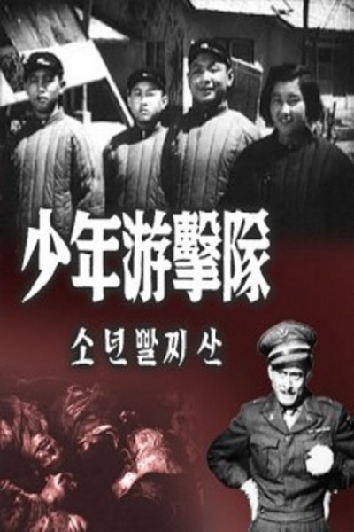少年游击队的海报-正式海报