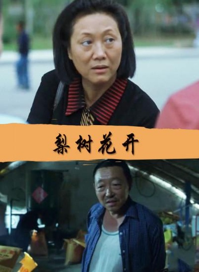 梨树花开的海报-正式海报