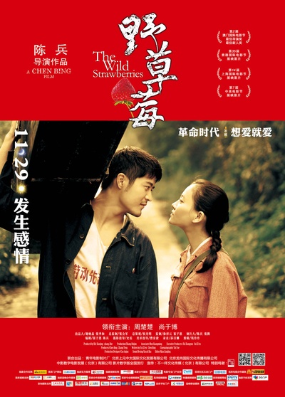 野草莓的海报-正式海报 中国大陆