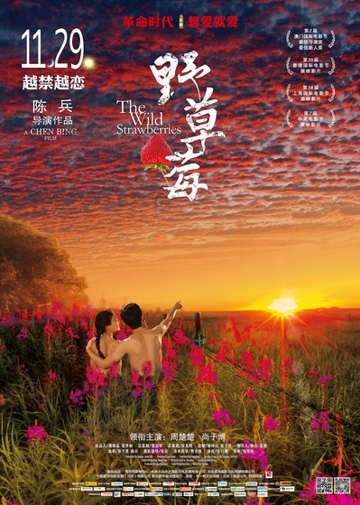 野草莓的海报-正式海报 中国大陆