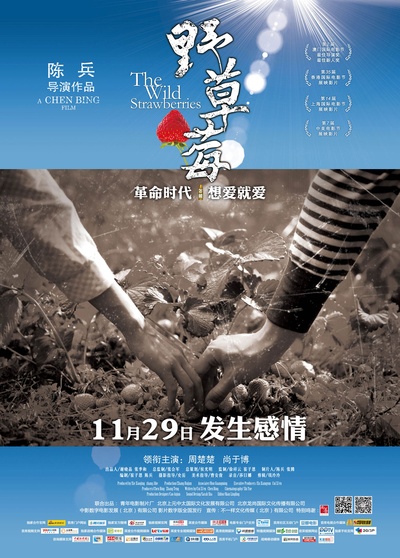 野草莓的海报-正式海报 中国大陆