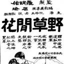 野草闲花
