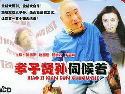 孝子贤孙伺候着的海报-其他海报