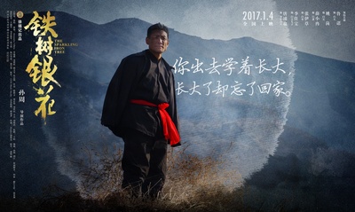铁树银花的海报-其他海报 中国大陆