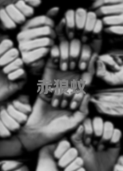 赤狼蚁的海报-正式海报 中国大陆