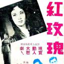 红玫瑰