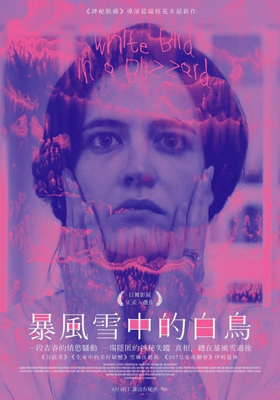 暴风雪中的白鸟的海报-其他海报 台湾