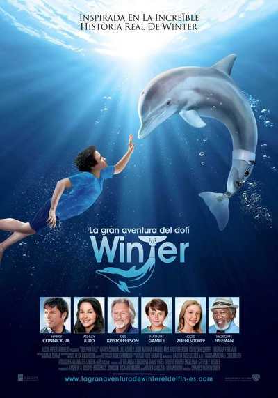 海豚的故事的海报-正式海报 西班牙