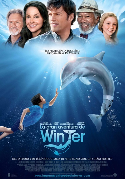 海豚的故事的海报-正式海报 西班牙