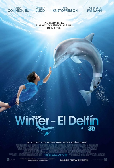 海豚的故事的海报-正式海报 西班牙
