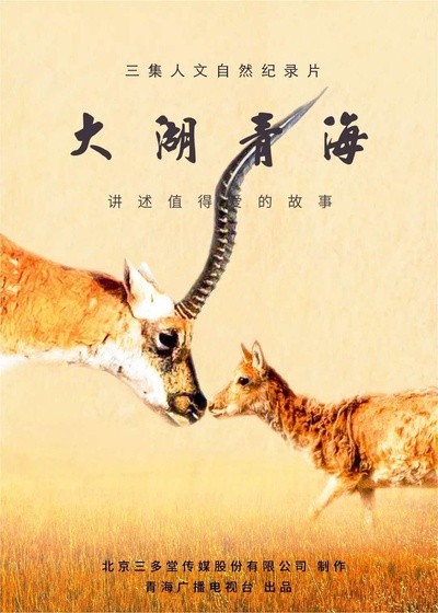 大湖 青海的海报-正式海报