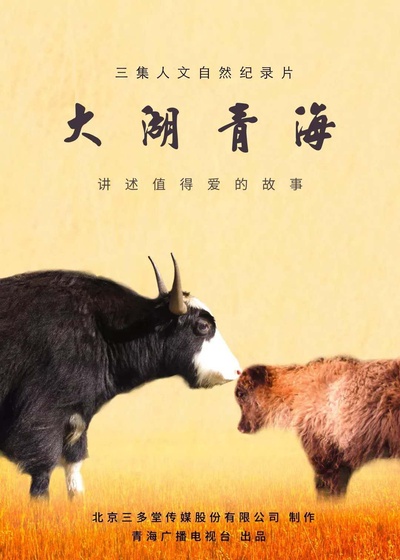 大湖 青海的海报-正式海报