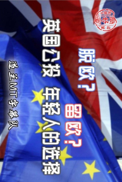 脱欧？留欧？英国公投：年轻人的抉择的海报-正式海报