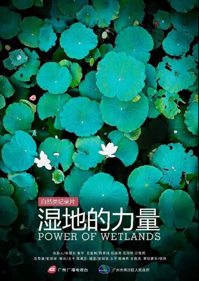 湿地的力量的海报-正式海报