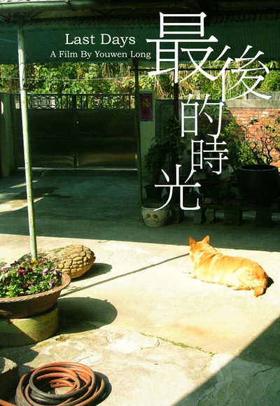 最後的時光的海报-预告海报