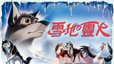 小狗波图的海报-其他海报 中国台湾
