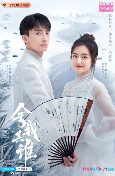 舍我其谁的海报-正式海报