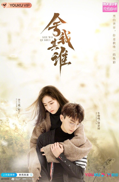 舍我其谁的海报-正式海报