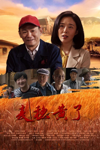 麦穗黄了的海报-正式海报