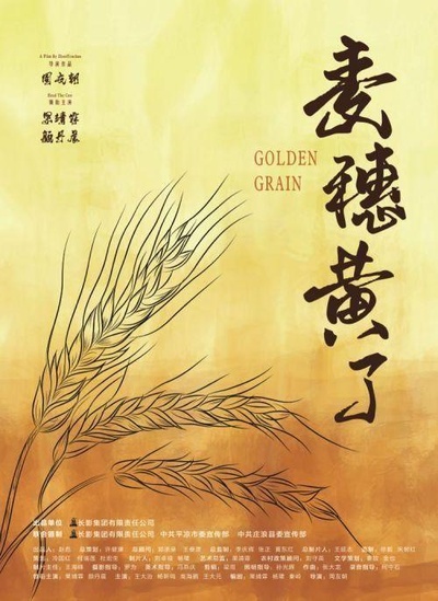 麦穗黄了的海报-正式海报