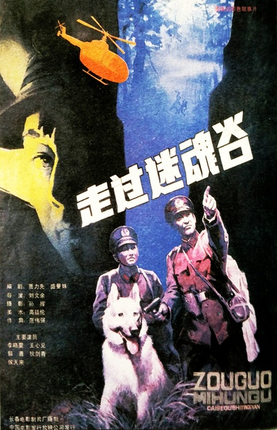 走过迷魂谷的海报-正式海报