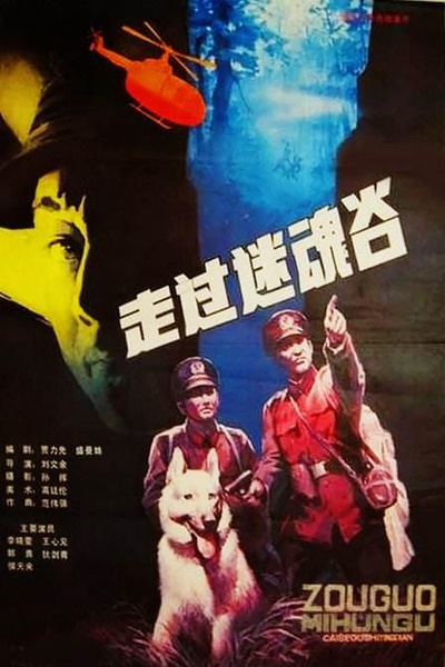 走过迷魂谷的海报-正式海报