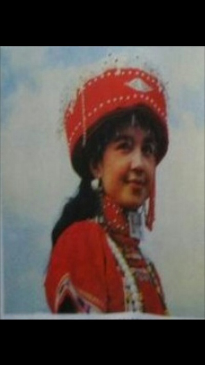 奢香夫人的海报-角色海报 中国大陆