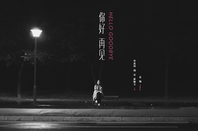 你好 再见的海报-其他海报