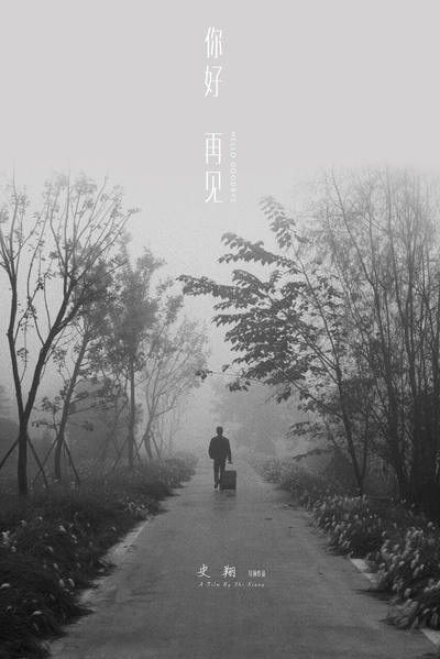 你好 再见的海报-正式海报