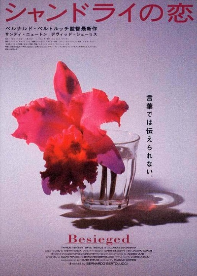 爱的困惑的海报-正式海报