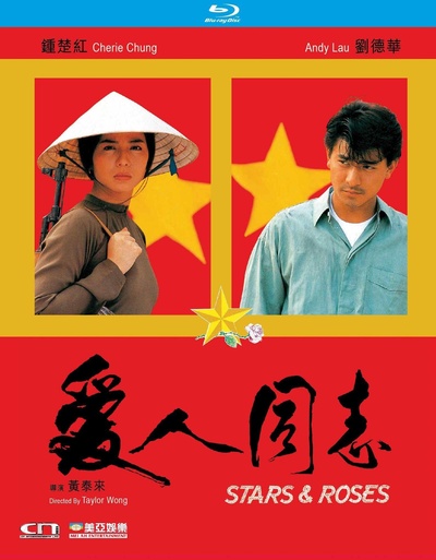 爱人同志的海报-正式海报