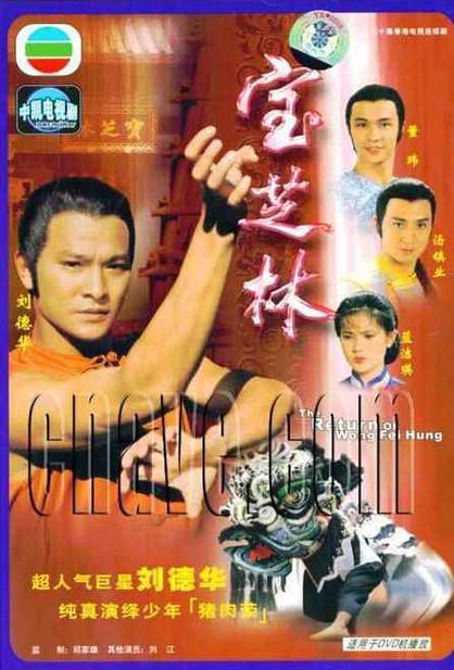 宝芝林的海报-正式海报