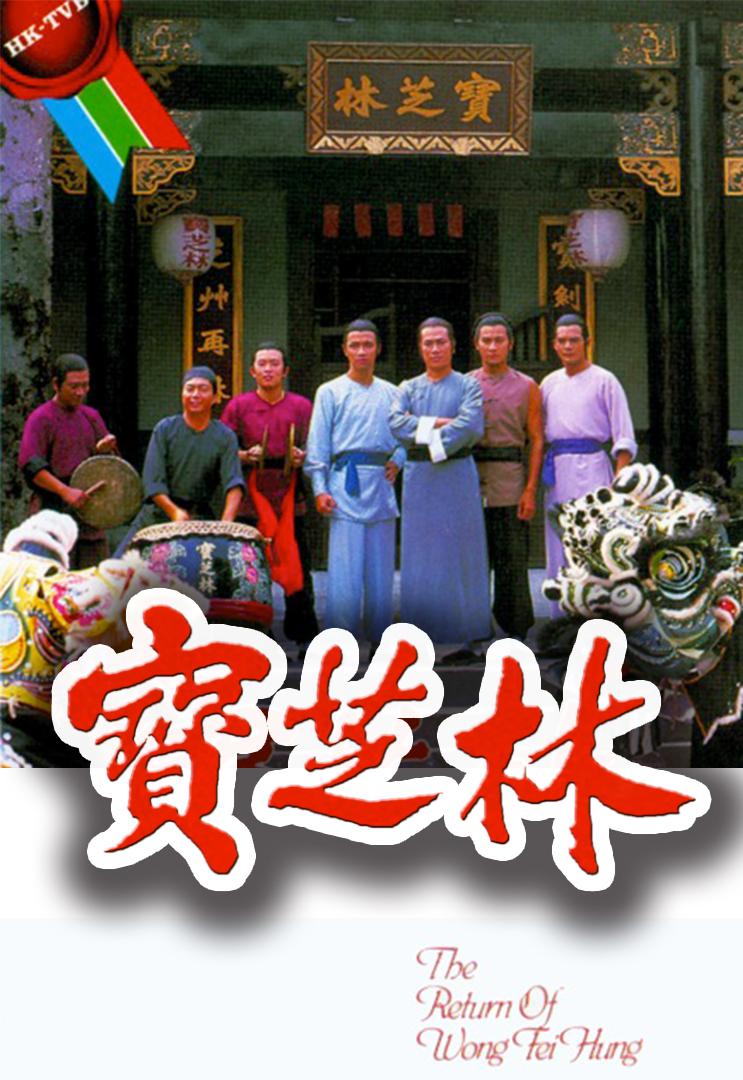 宝芝林的海报-正式海报