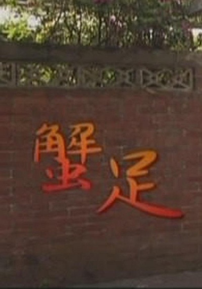 蟹足的海报-正式海报