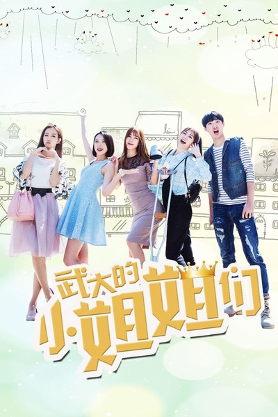 武大的小姐姐们的海报-正式海报