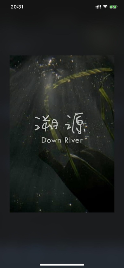 溯源的海报-正式海报