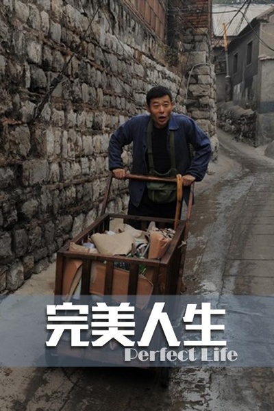 完美人生的海报-正式海报