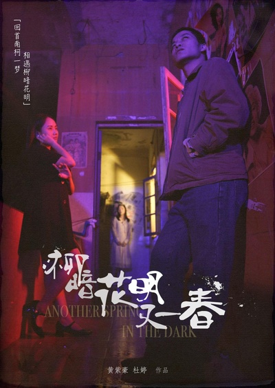 柳暗 花明 又一春的海报-正式海报