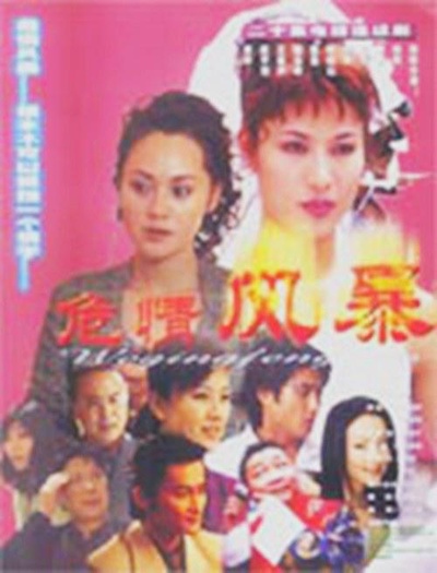 危情风暴的海报-正式海报